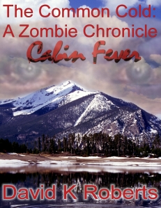 Common Cold Cabin Fever cover 1-12-13